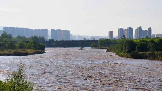 湟水河水位