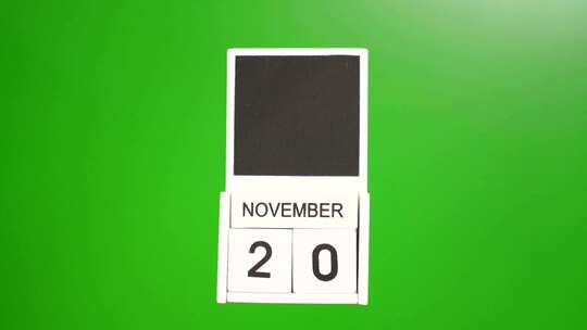 11.绿色背景上日期为11月20日的日历视频素材模板下载