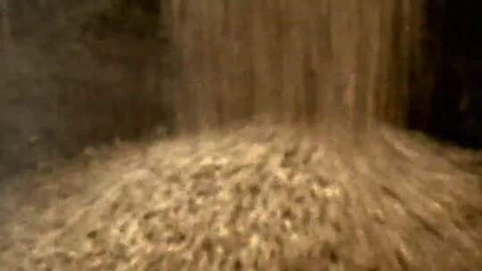 改革开放粮食丰收