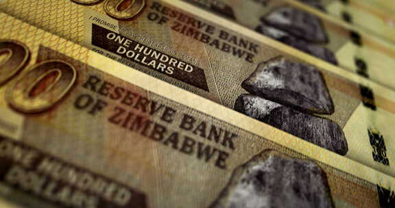 津巴布韦元钞票表面环