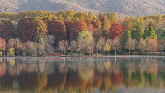 江苏南京灵山风景区前湖秋天秋色延时