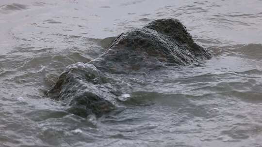 水流慢动作流水升格视频