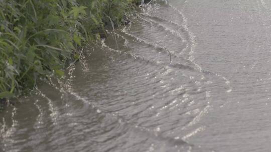 逆光拍摄雨后山路的金色水流LOG