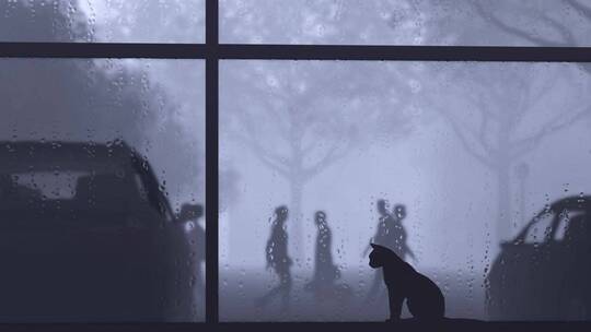 窗边看雨的猫