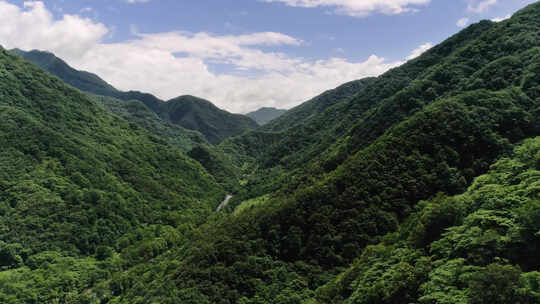 野外青山森林保护区