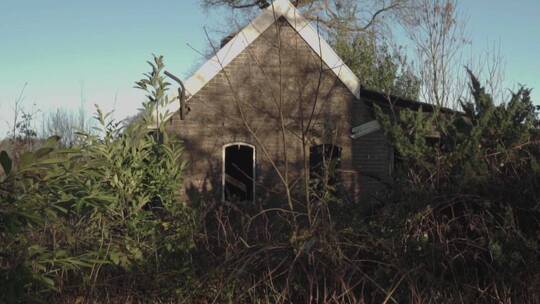 森林里废弃的房子