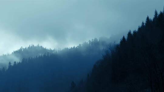 森林上空晨雾缭绕