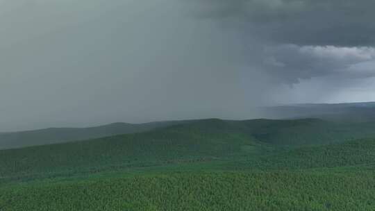 大兴安岭暴风雨来临的山林