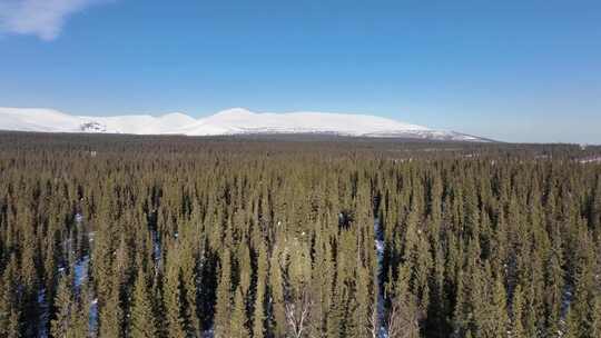 森林和雪山的无人机镜头