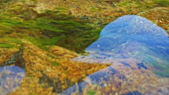 清澈潺潺流水特写视频素材模板下载