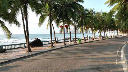 海边公路和椰树