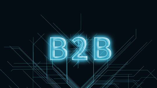 B2B三维科技感电路板生长线条场景视频素材模板下载