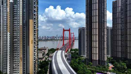 武汉鹦鹉洲大桥航拍