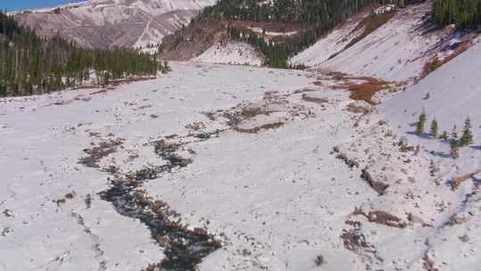 山，白雪覆盖，树，雪