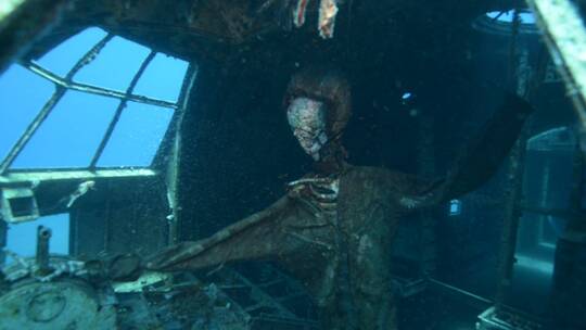 潜水者在红海探索沉没飞机的水下镜头