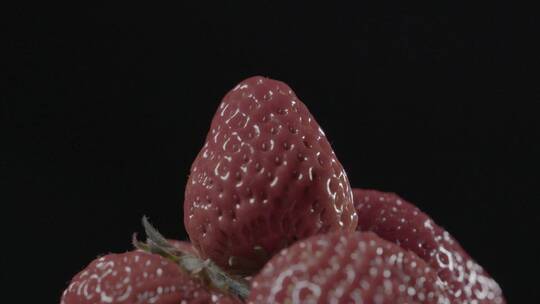 草莓微距LOG