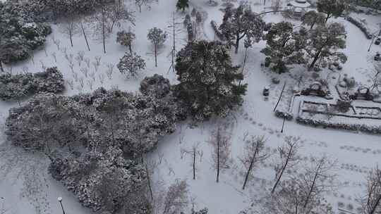 武汉沙湖公园大雪航拍