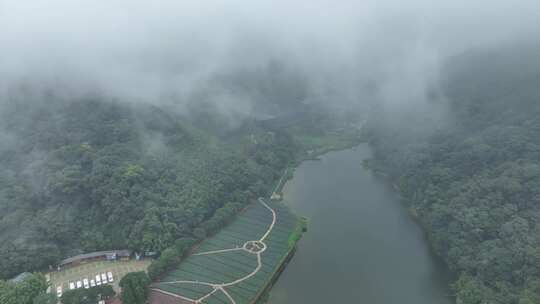 中国广州市从化区石门国家森林公园