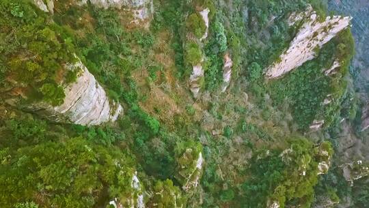 航拍张家界天子山秋天的风景