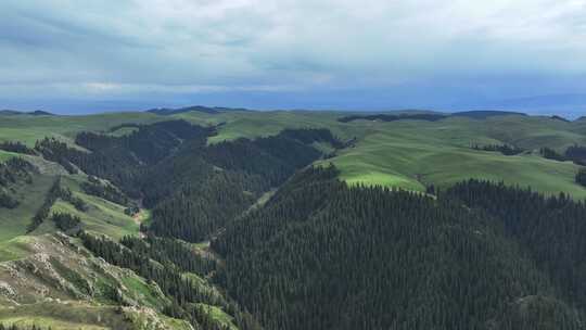 新疆河谷草原风景