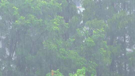 夏天雷雨大雨特写空镜