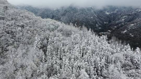 航拍重庆大巴山冬季雪山冰雪风光雪景