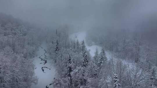 东北冬天暴雪大雪中的林海雪原