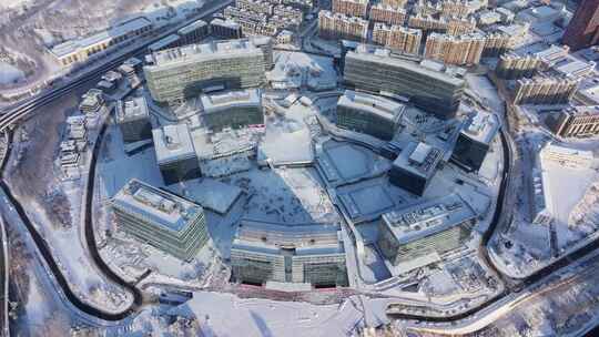 大连高新园区雪景