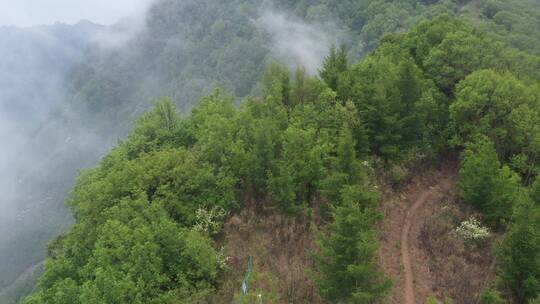 北方山 高山 云海 自然风光 航拍