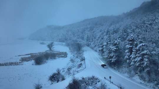 汽车行驶在冬天的林海雪原