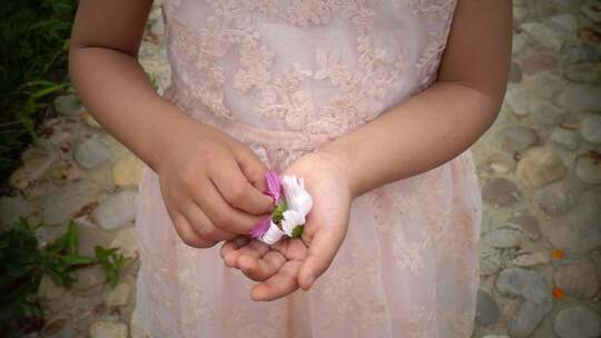 女孩手摸花朵 升格