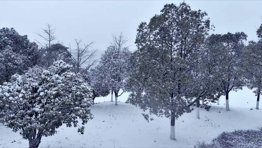 航拍银装素裹城市雪景长沙雪景