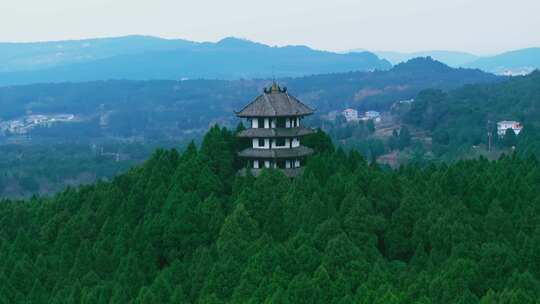 航拍翠云廊森林山林风景