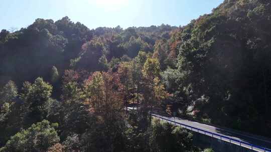 四明山 盘山公路 秋色 秋天 余姚