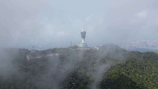 深圳旅游地标梧桐山云海蓝天白云