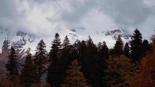 树林，山脉，雪，云