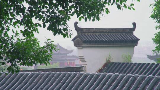 苏州园林和皇宫下雨拍打树叶局部建筑空景