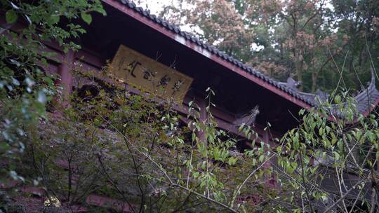 杭州飞来峰永福寺禅院风景