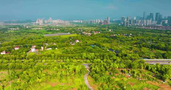 杭州余杭区五常湿地夏季风光