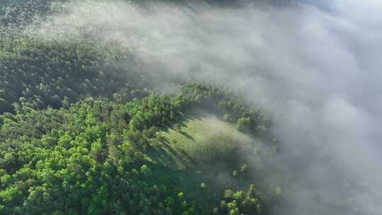 航拍山川绿色林海晨雾