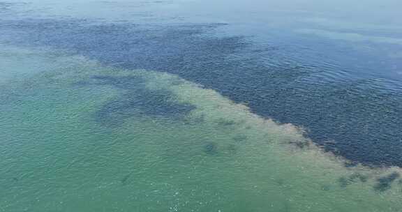 中国江河母亲河黄河生态湿地环境