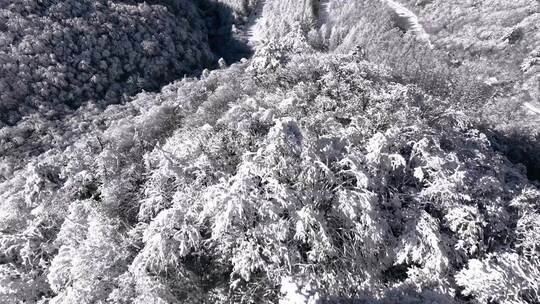 秦岭冬季雪景