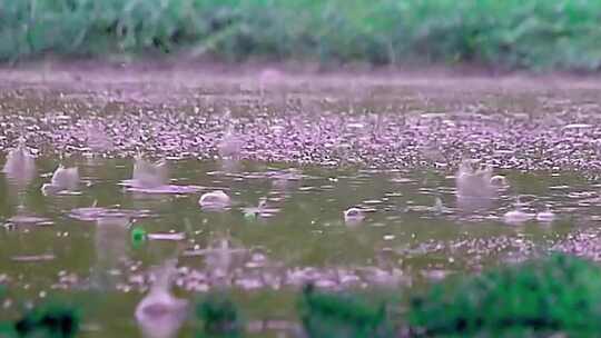 下雨起泡泡