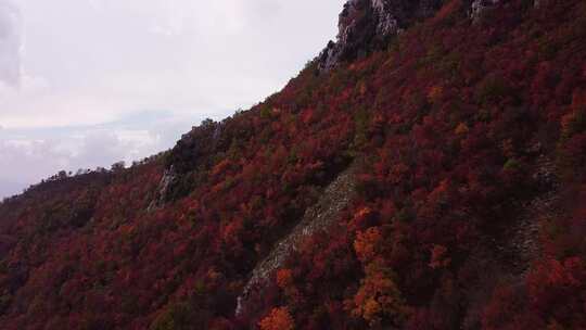 秋天秋叶秋景山林山枫叶唯美红叶航拍