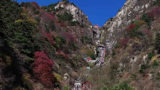 泰山对松山的秋色