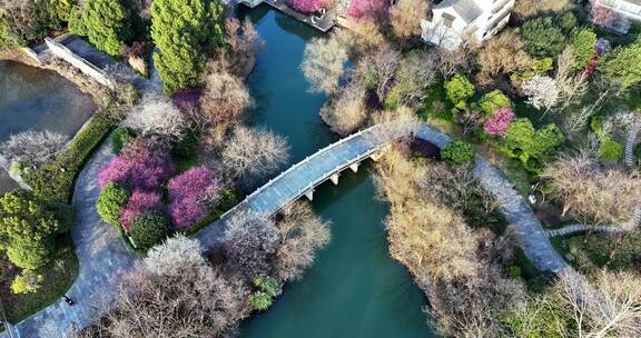 杭州西溪湿地洪园梅花盛开航拍