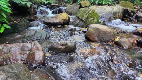 热带雨林 溪流 慢镜头