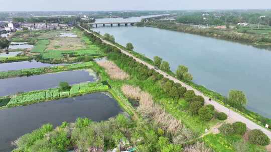 航拍湖边堤防河流滩边树木迎水坡农田邵伯湖