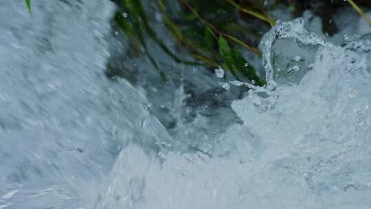 水花泉水小河溪流