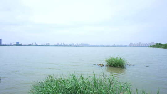 武汉江夏区黄家湖湿地公园